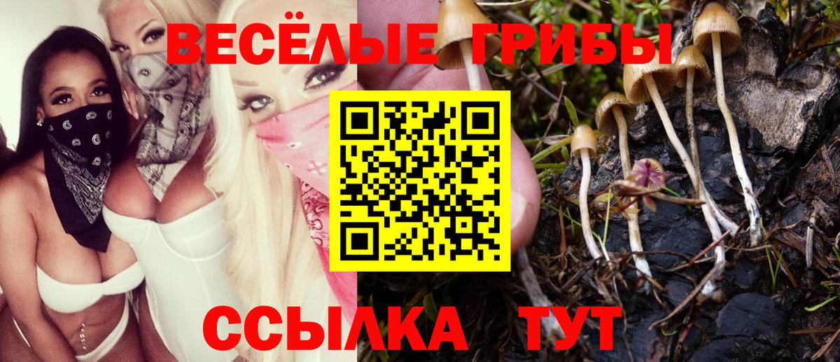Лесозаводск  Псилоцибиновые грибы MAGIC MUSHROOMS  Вход с VPN 